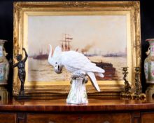 MEISSEN: A LARGE 19TH CENTURY PORCELAIN MODEL OF A COCKATOO CIRCA 1860