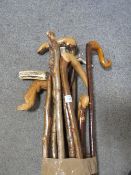 A SELECTION OF TALL WALKING STICKS AND STAFFS