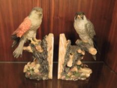 BIRD OF PREY BOOK ENDS