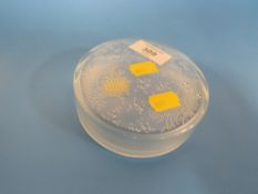 BELIZE LIDDED GLASS DISH