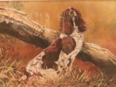 DAVID MAYER (XX). British school, study of a springer spaniel by fallen branch 'Springer Spaniel
