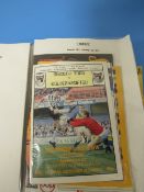 ALBUM OF WOLVERHAMPTON WANDERS FA CUP PROGRAMMES FROM THE 1980'S AND 1990'S