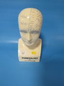 A REPRODUCTION PHRENOLOGY HEAD
