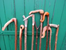A COLLECTION OF WALKING STICKS / STAFFS