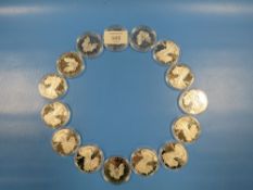 FIFTEEN 1OZ SILVER DOLLAR COINS