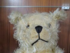 A VINTAGE TEDDY BEAR