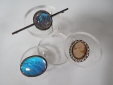 TWO LARGE SILVER BROOCHES AND A SHELL CAMEO BROOCH