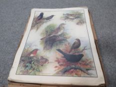 A BOXED SET OF VINTAGE ' MACMILLIANS NATURE CLASS PICTURES ' ( MISSING 1 & 17 ) CLASSROOM CHARTS.