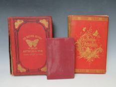 H. NOEL HUMPHREYS - 'THE GENERA AND SPECIES OF BRITISH BUTTERFLIES', published by T. J. Allman, 31