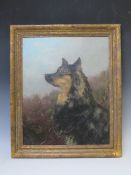 WILLIAM GRANT STEVENSON (1849-1919). Study of a dog in undergrowth, signed with initials lower left,