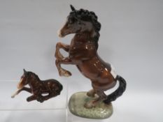 A BESWICK HORSE FIGURE OF A WELSH REARING COB TOGETHER WITH A FOAL A/F