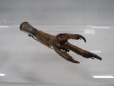 AN ANTIQUE SCOTTISH SILVER MOUNTED CLAW BROOCH