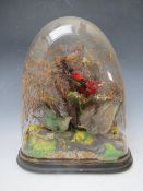 TAXIDERMY INTEREST, a collection of three Taxidermy small birds in a naturalistic setting amongst