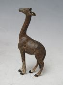 AN AUSTRIAN COLD PAINTED BRONZE OF A GIRAFFE, H 8.5 cm