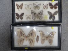 TWO FRAMED AND GLAZED STUDIES OF BUTTERFLIES AND MOTHS FROM RHODES TO INCLUDE ATTOCAS ATLAS