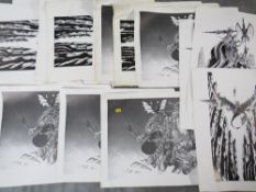 APPROXIMATLEY SEVENTY FOUR HEROIC AND FANTASY ART PRINTS BY DAVID DE-LEUW, to include Dragon Lord,