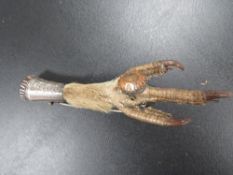 AN ANTIQUE SCOTTISH SILVER MOUNTED CLAW BROOCH