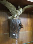 A TAXIDERMY STUDY OF A BIRD OF PREY ON A NATURALISTIC BASE