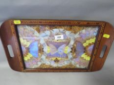 A vintage butterfly wing tray