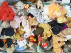 A tray of TY Beanie Babies