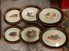 A collection of six framed oval KYD prints together with a David Shepherd dog print, etc.