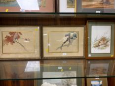 Two framed Eastern watercolors depicting doves and a bohemian waxwing together with another