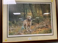 Three framed and glazed limited edition dog prints by Steven Townsend and Nigel Hemming