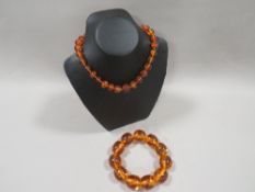 An amber necklace and amber style bracelet containing insects