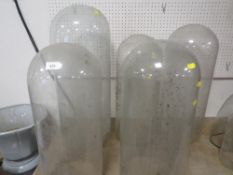Five large taxidermy style glass domes