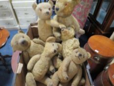 A tray containing 6 vintage teddy bears