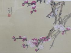 A framed and glazed Oriental still life study of a bird on a branch, signed with character marks