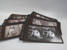 Approximately 47 'Le Stereo-Nu Paris' erotic stereographs - modern reproduction