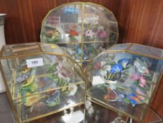 Three glass display cases containing over 20 ceramic butterfly's