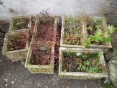 A selection of 7 concrete garden planters