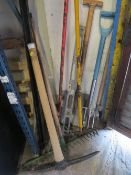 A selection of garden tools