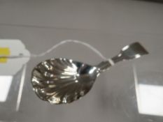 A hallmarked early Victorian silver caddy spoon with scalloped bowl