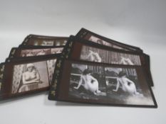 Approximately 47 'Le Stereo-Nu Paris' erotic stereographs - modern reproduction