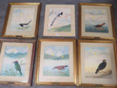 Five North Indian/Nepal paintings of wild birds with Hymalaya mountain backgrounds, framed and