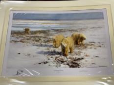 Five unframed David Shepherd limited edition wildlife prints to include ‘Lone Wanderers of the