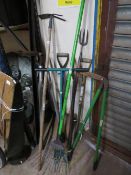 A selection of garden tools