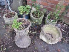 A selection of six concrete garden planters