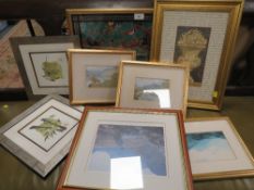 A selection of framed and glazed pictures and prints to include a sub continental glass on glass