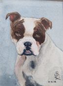 LEONARD BOXALL. A study of a boxer dog, signed with monogram and dated 1913 lower right,