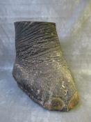 TAXIDERMY - A 19TH CENTURY ELEPHANT FOOT - LOXODONTA CYCLOTIS, H 49 cm, W 38 cm, D 41 cm