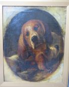 (XIX-XX). English school, oval portrait study of two dogs resting, unsigned, oil on canvas,