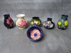 A COLLECTION OF SIX MOORCROFT SMALL VASES AND A CIRCULAR DISH, to include 'Buttercup' pattern,