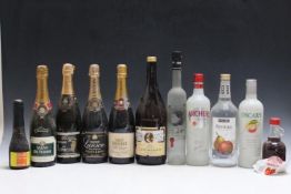 AN ASSORTMENT OF 11 BOTTLES OF CHAMPAGNE AND SPIRITS, to include 1 bottle of Felser Obstschnaps, all