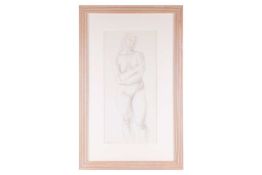 Bernard Meninsky (1891-1950), Standing female nude, pencil on paper, signed lower left, 55 cm x 26 c