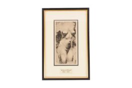 Wilfred Blunt (British, 1901-1987) Female torso, etching, 21cm x 10cm, framed and glazed 35.5cm x 23