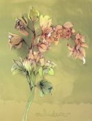 Bruno Bruni (*1935): Orchidea verde (1988)